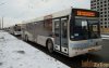 Автобус крупногаборитный зимой в Запорожье