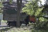 Дерево упало на КАЗМАЗ в Запорожье