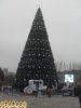 елка в Запорожье на Фестивальной
