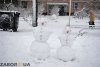 Снеговики в Запорожье