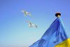флаг украины и птицы в небе